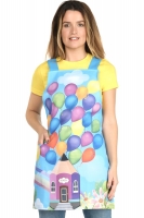 BALLONS SCHOOL STOLE